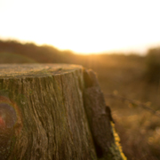 短信轰在线轰炸免费下载