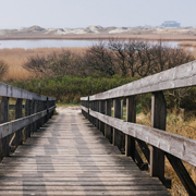 性能优异强劲的手机号轰在线轰炸
